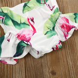Toddler Flamingo Swimsuit