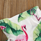 Toddler Flamingo Swimsuit